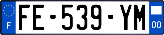 FE-539-YM