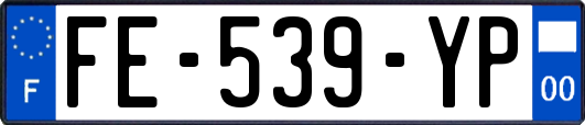 FE-539-YP