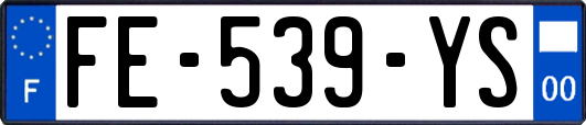 FE-539-YS