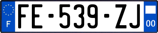 FE-539-ZJ