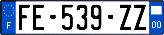 FE-539-ZZ