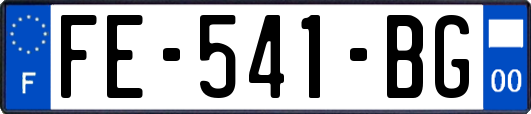 FE-541-BG