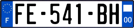 FE-541-BH