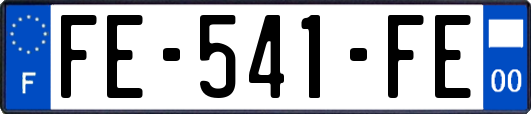 FE-541-FE