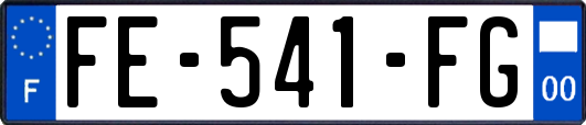 FE-541-FG