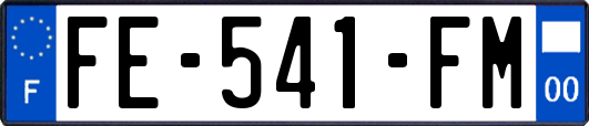FE-541-FM