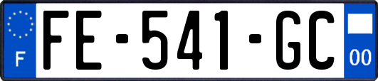 FE-541-GC