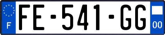 FE-541-GG
