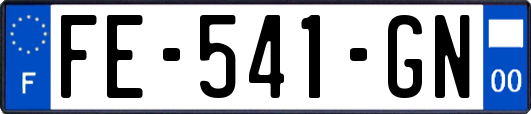 FE-541-GN