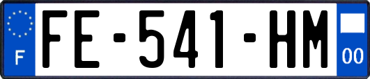 FE-541-HM