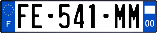 FE-541-MM