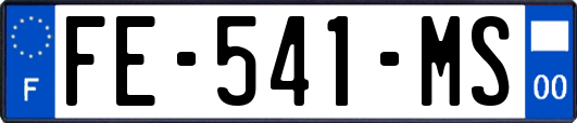 FE-541-MS