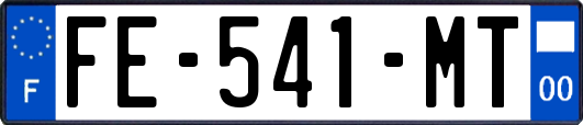 FE-541-MT