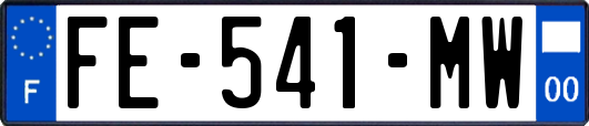 FE-541-MW