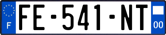 FE-541-NT