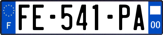 FE-541-PA