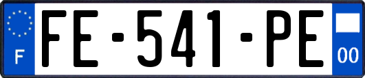 FE-541-PE