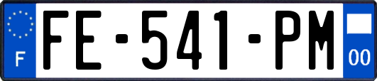 FE-541-PM