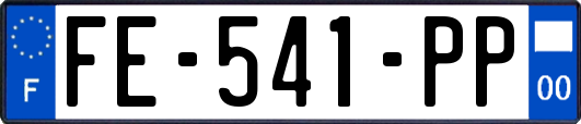 FE-541-PP