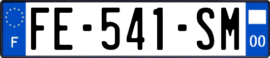FE-541-SM