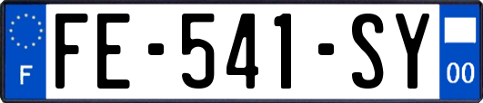 FE-541-SY