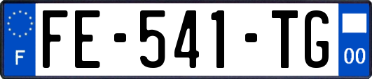 FE-541-TG