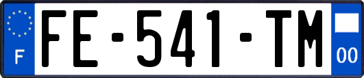 FE-541-TM