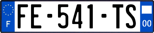 FE-541-TS