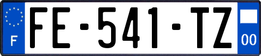 FE-541-TZ