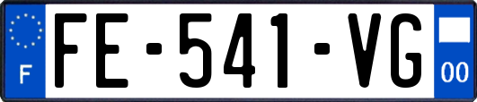 FE-541-VG