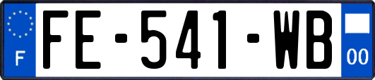 FE-541-WB