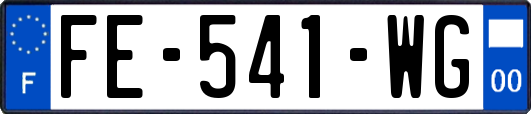 FE-541-WG