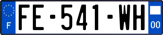 FE-541-WH