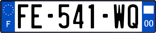 FE-541-WQ