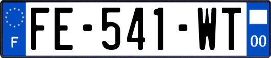 FE-541-WT