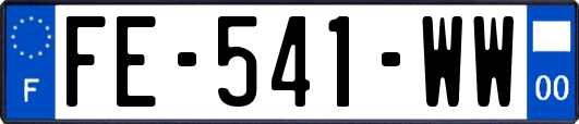 FE-541-WW
