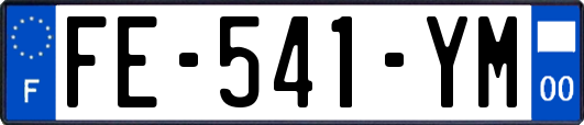 FE-541-YM