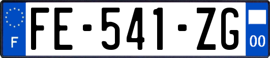 FE-541-ZG