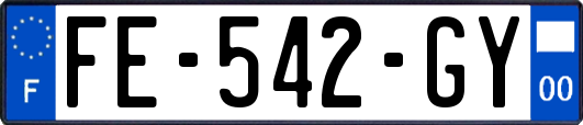 FE-542-GY