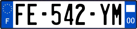 FE-542-YM