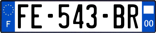FE-543-BR