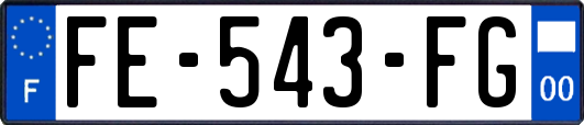 FE-543-FG