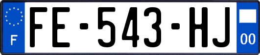 FE-543-HJ