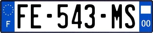 FE-543-MS