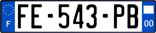 FE-543-PB