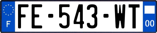 FE-543-WT