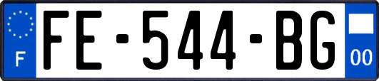 FE-544-BG