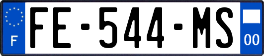 FE-544-MS