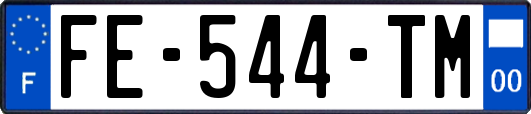 FE-544-TM