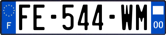 FE-544-WM